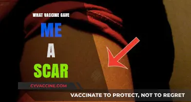 The Vaccine Scar: Uncovering the Story Behind My Mark