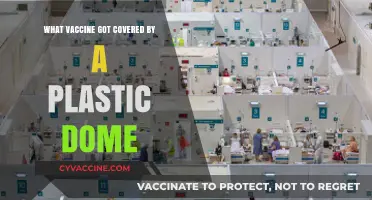 Plastic Dome Mystery: Which Vaccine Received This Unique Protection?