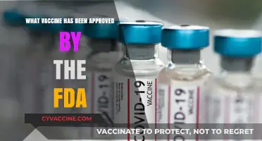 FDA-Approved Vaccines: Latest Updates and Key Information You Need