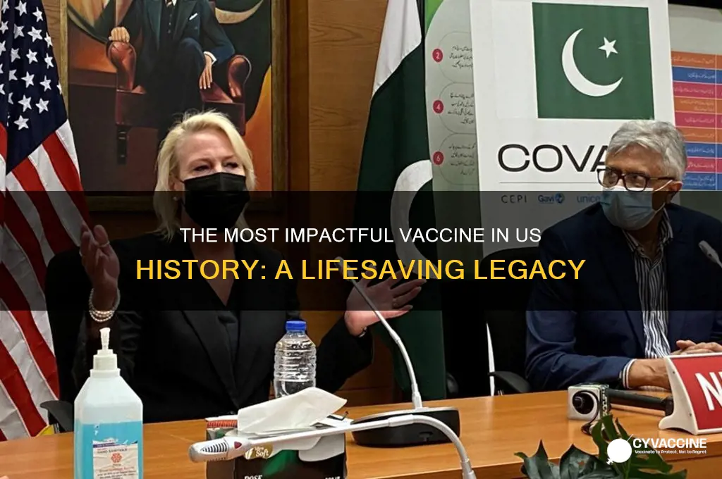 what vaccine has been the most help in the us