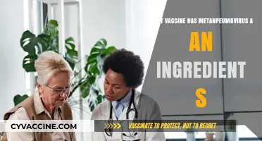 Metanpeumovirus in Vaccines: Fact-Checking Ingredients and Safety Claims