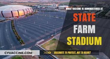 State Farm Stadium Vaccine: Which Shot is Given at the Venue?