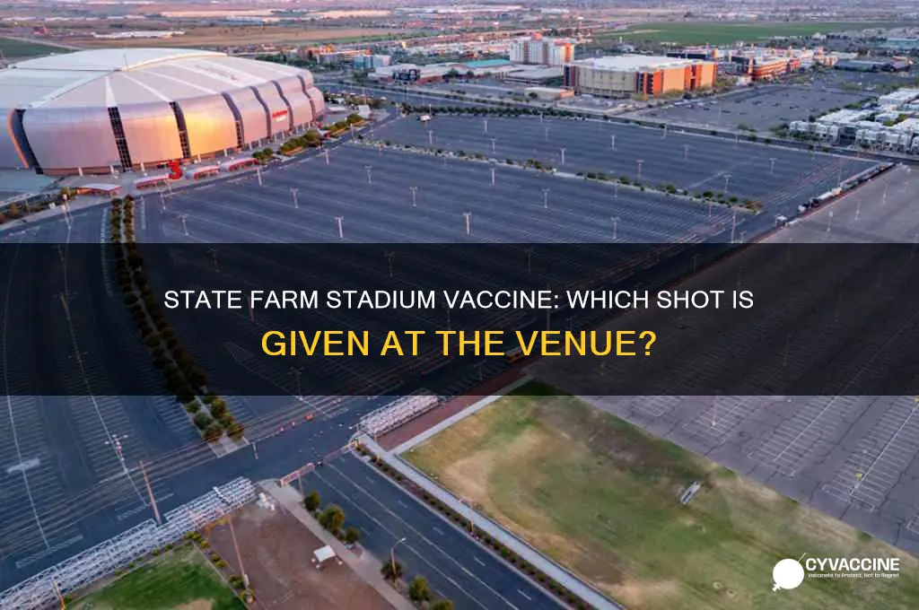what vaccine is administered at state farm stadium