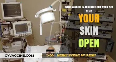 Tetanus Vaccine: Essential Protection After Skin Cuts and Injuries