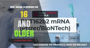 Approved COVID-19 Vaccines for Individuals Aged 16 and Older