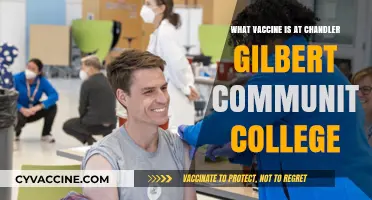 Chandler Gilbert Community College Offers COVID-19 Vaccines: What to Know