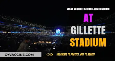 Gillette Stadium Vaccine: Which COVID-19 Shot is Being Administered?