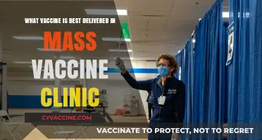 Best Vaccine Choices for Efficient Mass Vaccination Clinics