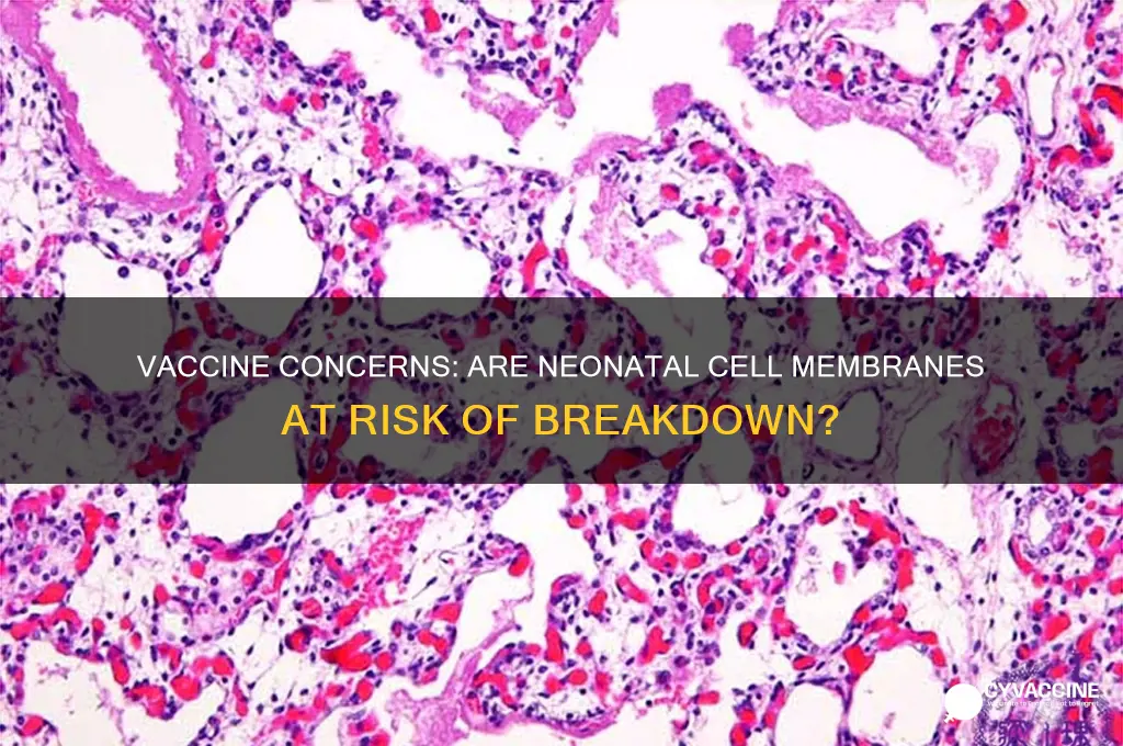 what vaccine is breaking down cell membranes in neonates