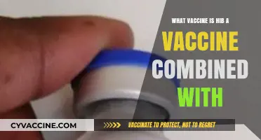 Understanding HIB: Which Vaccines Combine with HIB for Comprehensive Protection