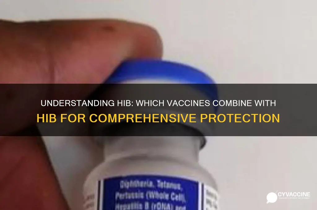 what vaccine is hib a vaccine combined with