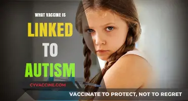 Debunking the Myth: No Vaccine-Autism Link, Facts Explained