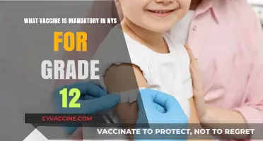 NYS Grade 12 Vaccine Mandate: Essential Immunizations for Seniors