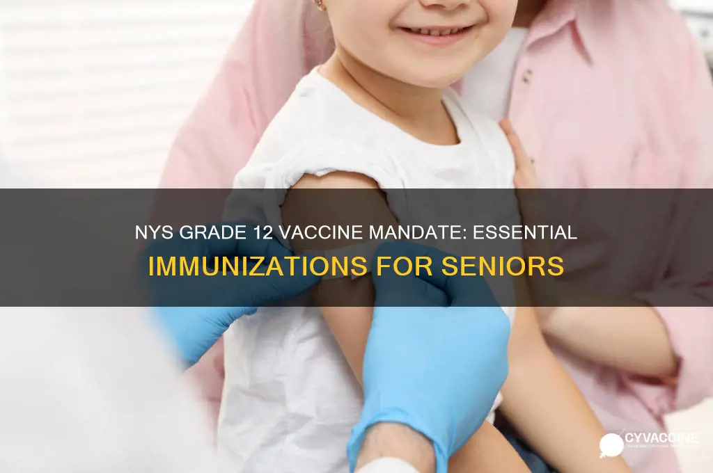 what vaccine is mandatory in nys for grade 12