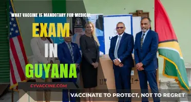 Guyana Medical Exam: Mandatory Vaccines for Healthcare Professionals