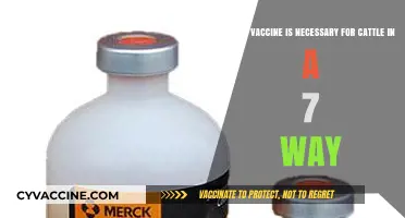 Essential 7-Way Cattle Vaccines: Protecting Your Herd's Health