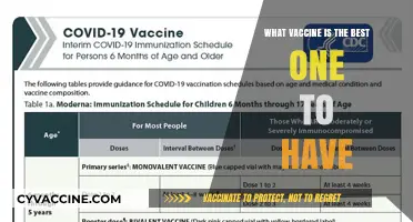 Choosing the Right Vaccine: A Comprehensive Guide to Your Best Option