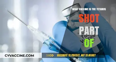 Tetanus Shot: Which Vaccine Includes It and Why It Matters