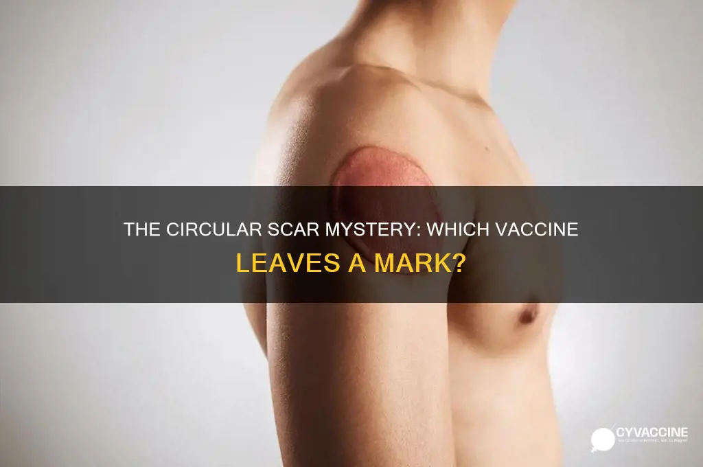 what vaccine leaves a circle scar on your arm