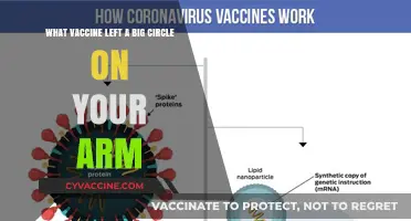 The Mystery of the Circular Mark: Which Vaccine Left a Big Circle on Your Arm?