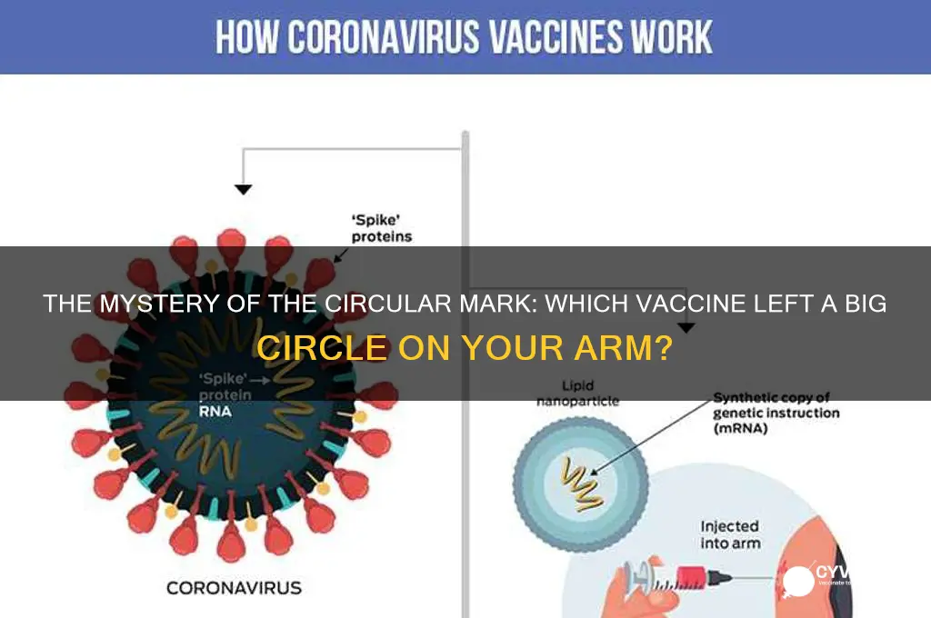 what vaccine left a big circle on your arm