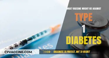 Exploring Potential Vaccines to Prevent Type 1 Diabetes: Latest Research