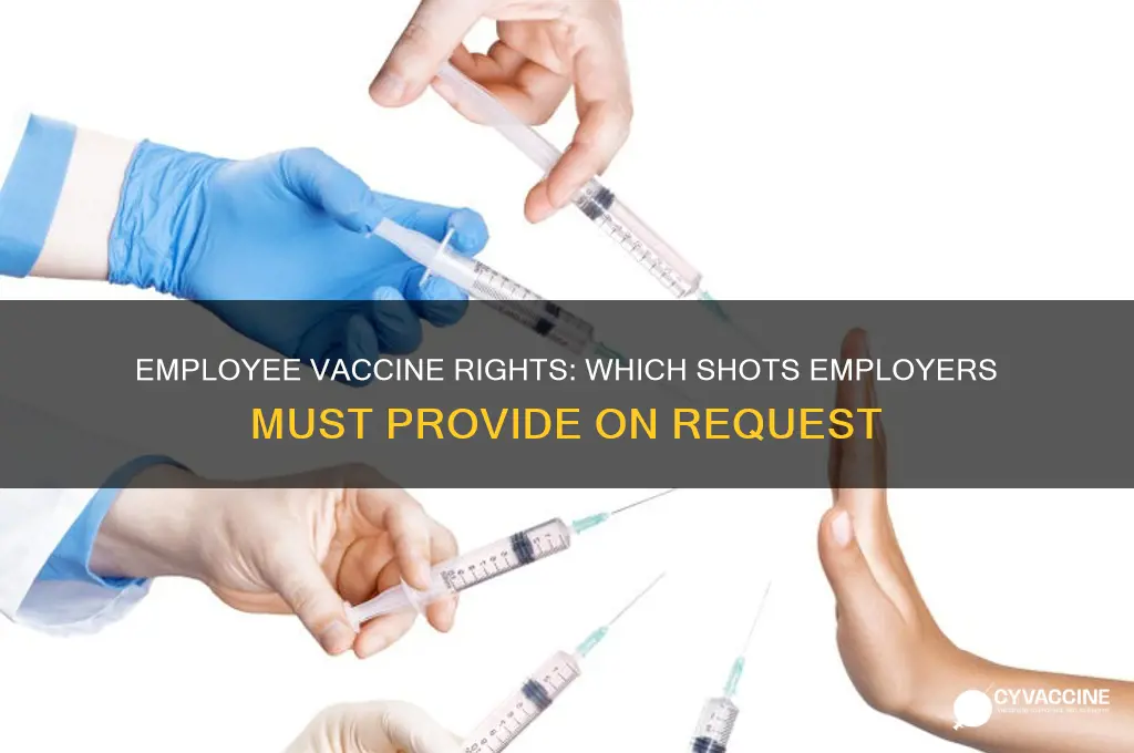 what vaccine must be provided if employees ask for it