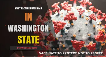 Washington State Vaccine Phases: Understanding Your Eligibility and Timeline