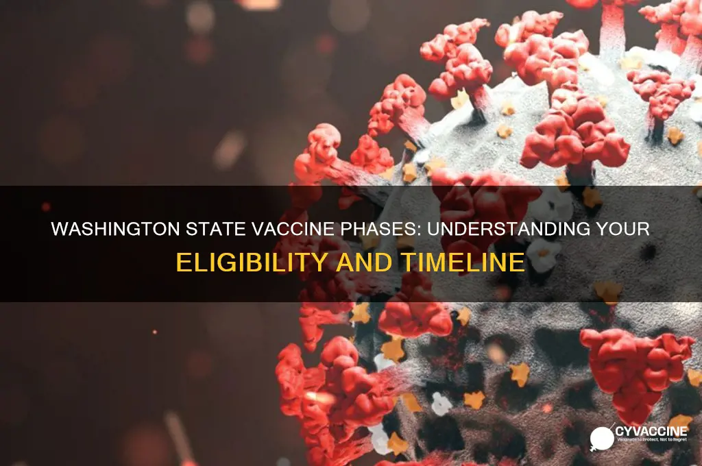 what vaccine phase am i in washington state
