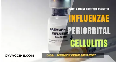 Protecting Against H. Influenzae Periorbital Cellulitis: Key Vaccine Insights