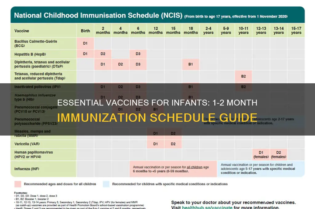 what vaccine should infants receive between 1-2 months