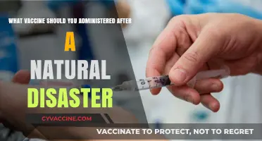 Post-Disaster Vaccination Guide: Essential Shots for Recovery and Resilience