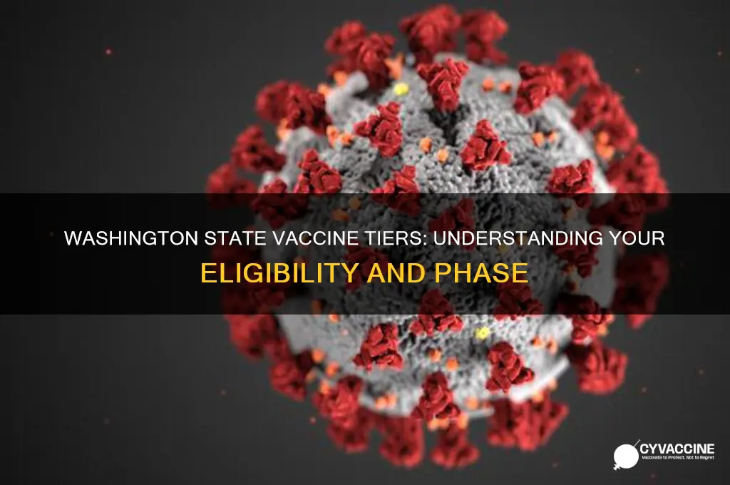 what vaccine tier am i in washington state