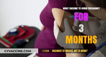 Effective Vaccines to Prevent Pregnancy for Three Months: A Guide