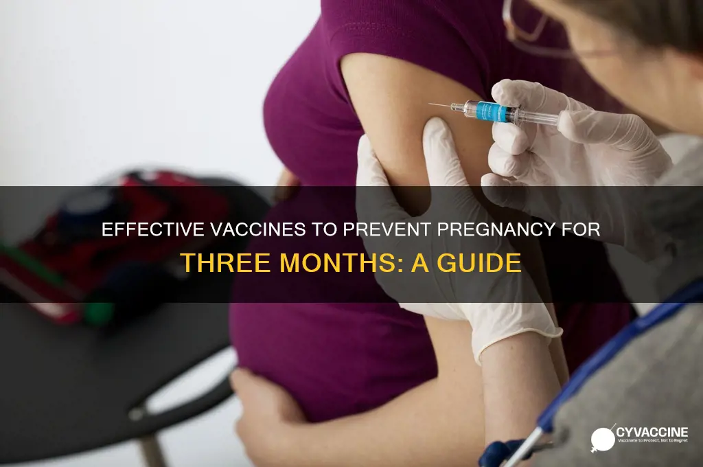 what vaccine to avoid pregnancy for 3 months