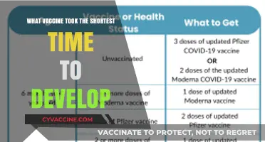 Record-Breaking Speed: The Fastest Developed Vaccine in History