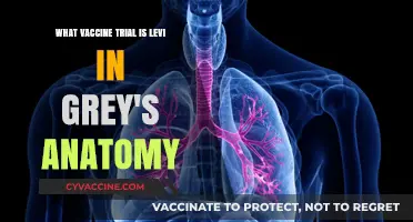 Grey's Anatomy Vaccine Trial: Unraveling Levi's Role in Medical Research