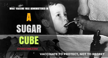 The Sweet Solution: Oral Polio Vaccine's Sugar Cube Delivery