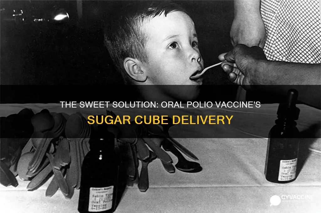 what vaccine was administered in a sugar cube