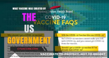 US Government's Vaccine Development: A Historical Overview of Key Contributions