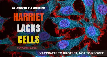 The Legacy of Henrietta Lacks: Vaccines Derived from HeLa Cells