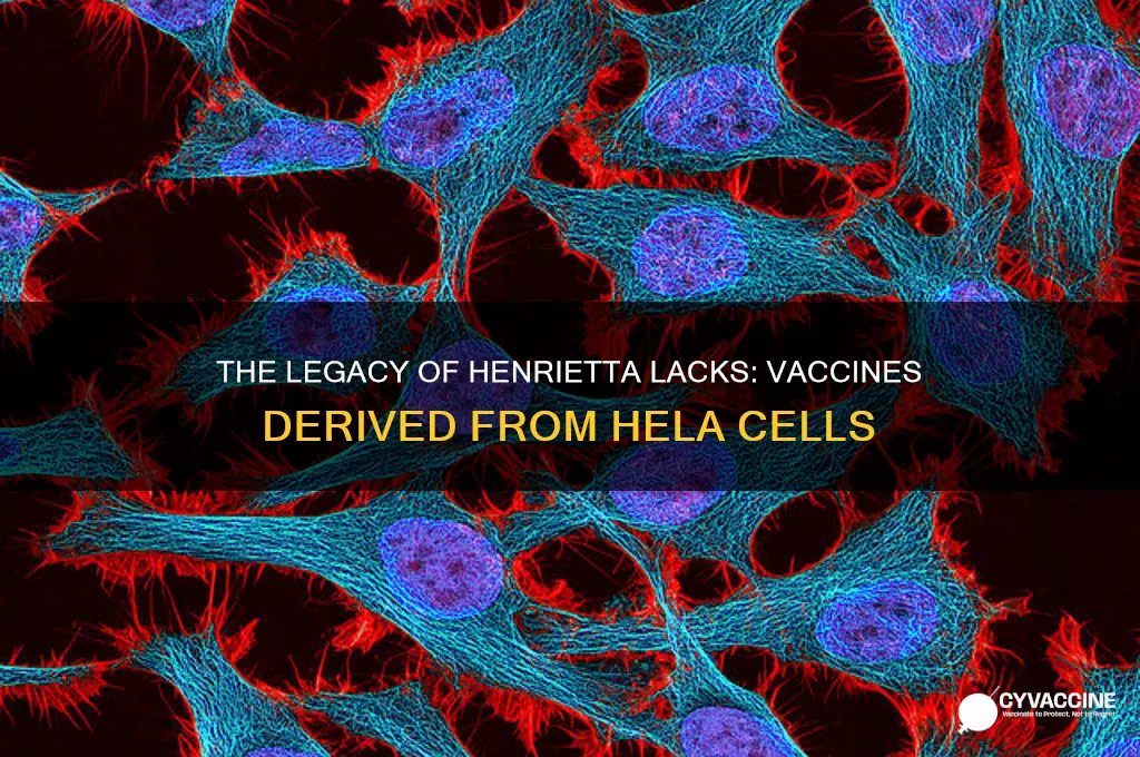 what vaccine was made from harriet lacks cells