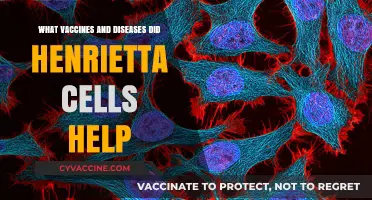 Henrietta Lacks' Immortal Cells: Vaccines and Diseases They Helped Conquer