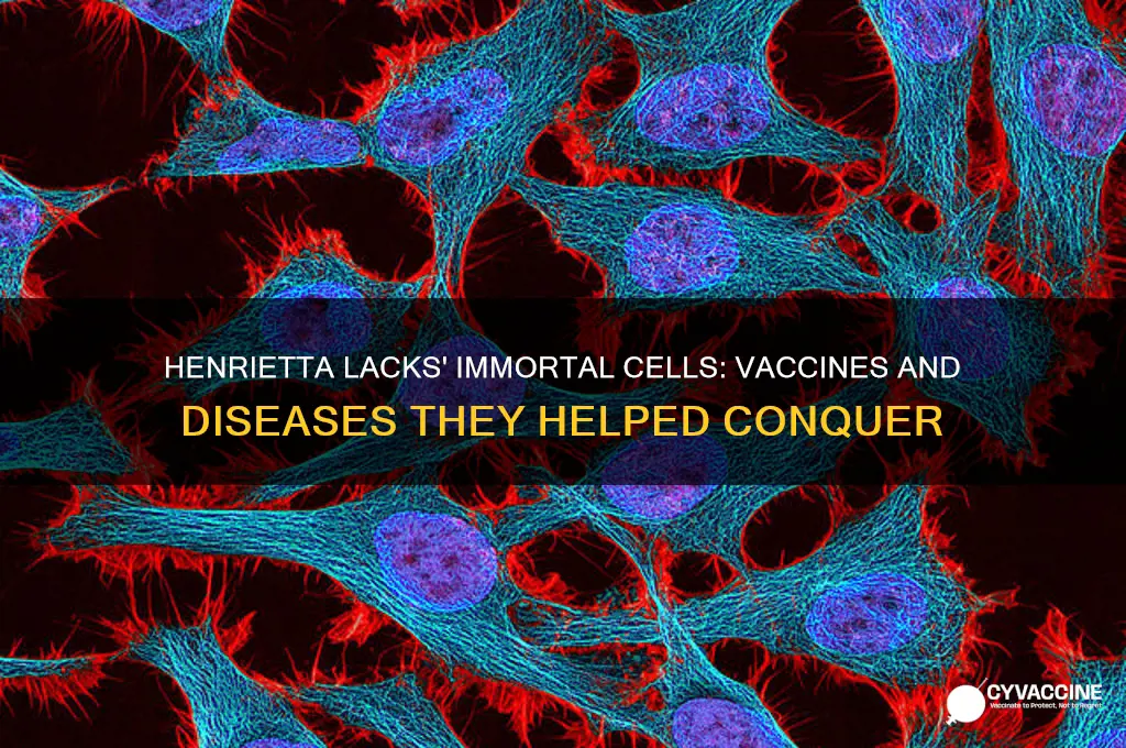 what vaccines and diseases did henrietta cells help