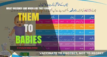 Essential Baby Vaccines: Timely Immunization Schedule for Newborns
