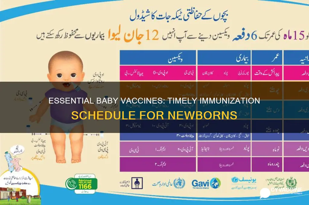 what vaccines and when are they giving them to babies