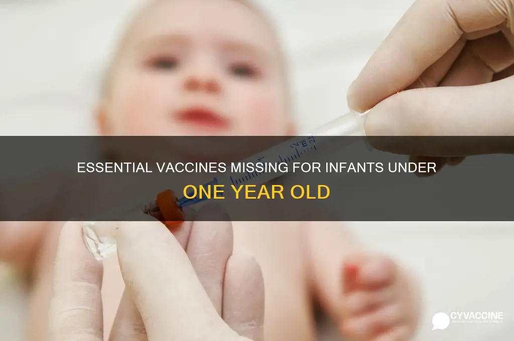 what vaccines are absent under the age of 1