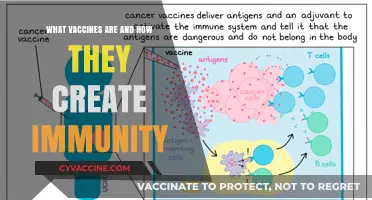 Understanding Vaccines: How They Work to Build Lasting Immunity