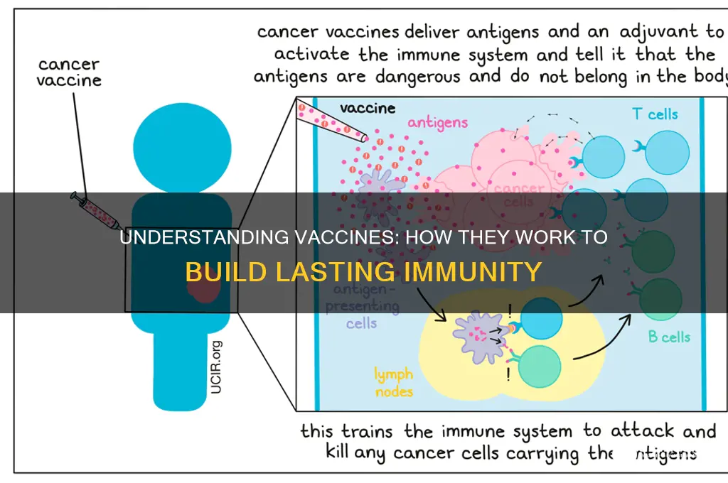 what vaccines are and how they create immunity