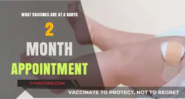 Essential Vaccines for Your Baby's 2-Month Checkup: What to Expect